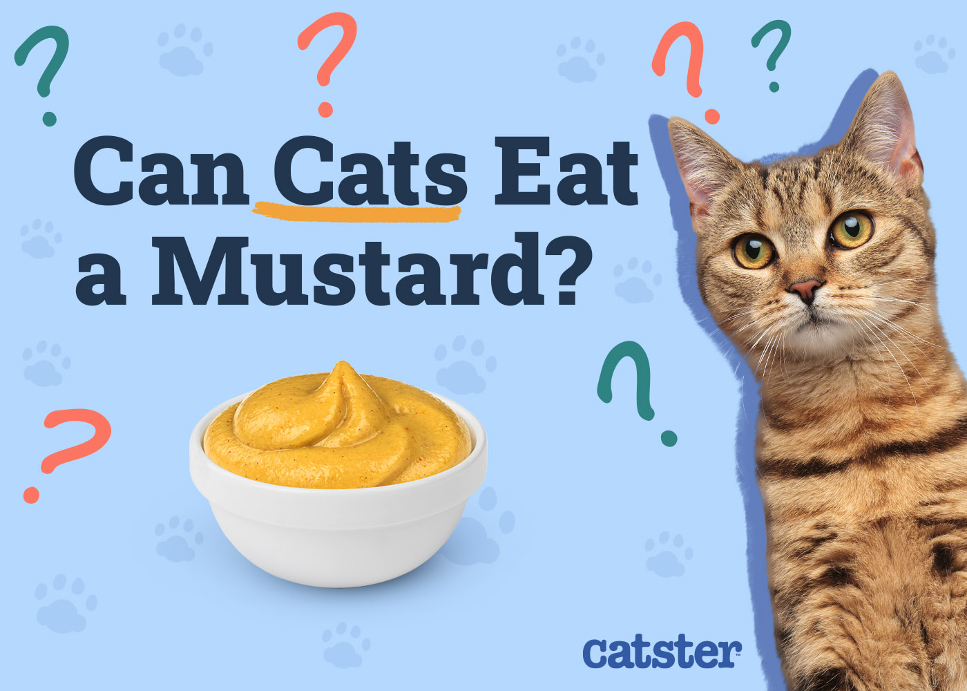 Can Cats Eat Mustard? Vet-Verified Dangers & Precautions