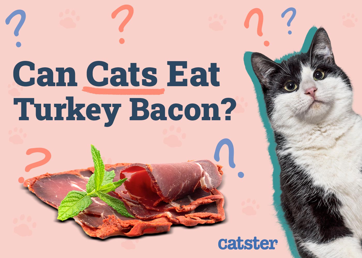 Can Cats Eat Turkey Bacon? Vet-Authorised Dangers & FAQ