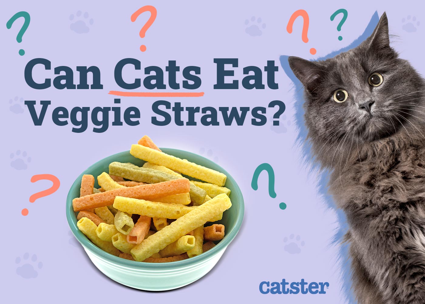 Can Cats Eat Veggie Straws? Vet-Verified Information & FAQ