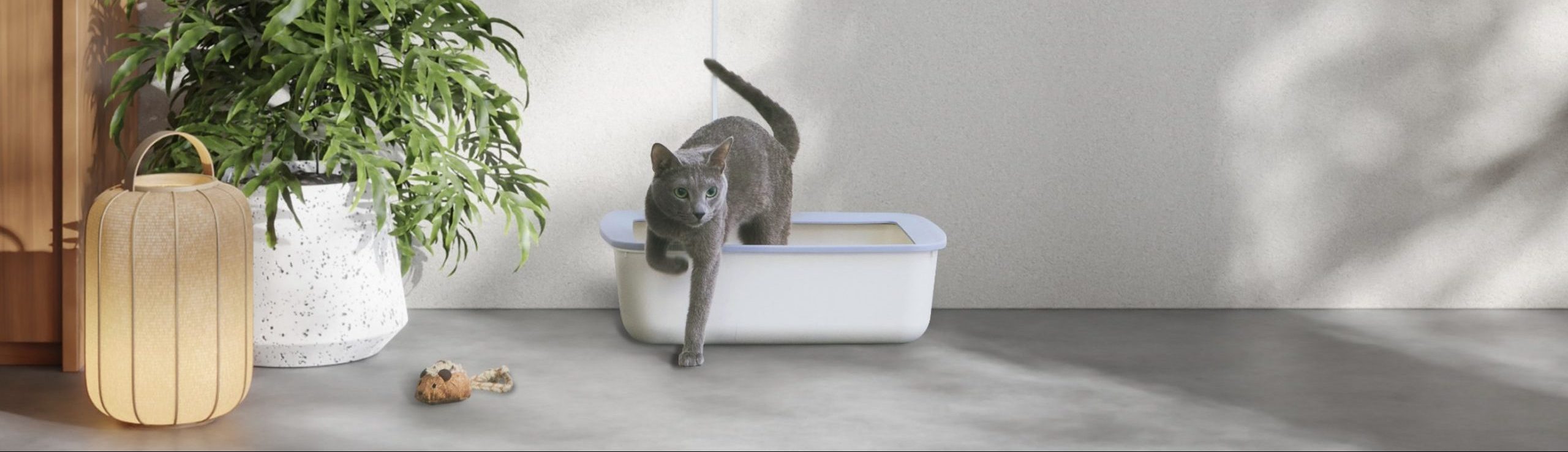 Most fascinating Presents for Cats: Litter Necessities